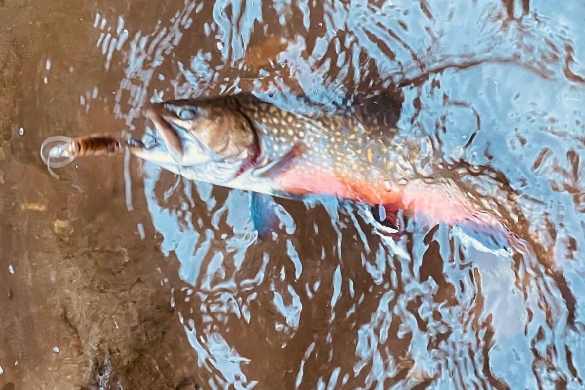 Change Hooks for Special Regulations&nbsp;Streams