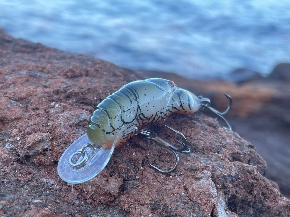 Fishing on Foot&nbsp;Lures