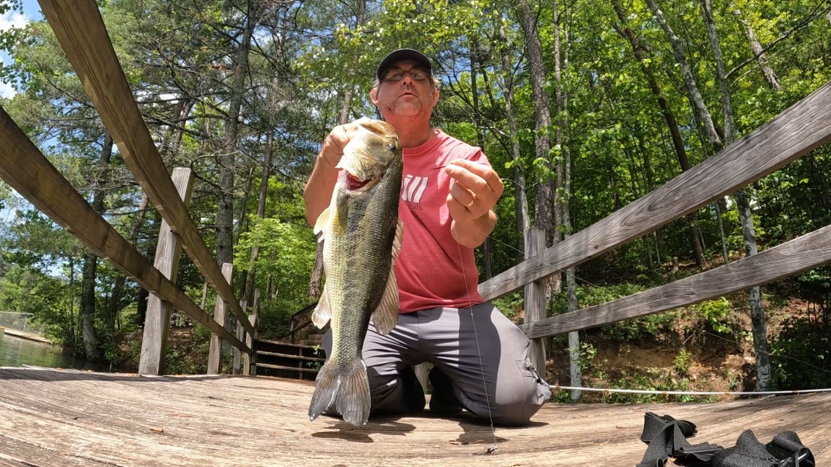 Surprise Light Tackle Bass&nbsp;Catch