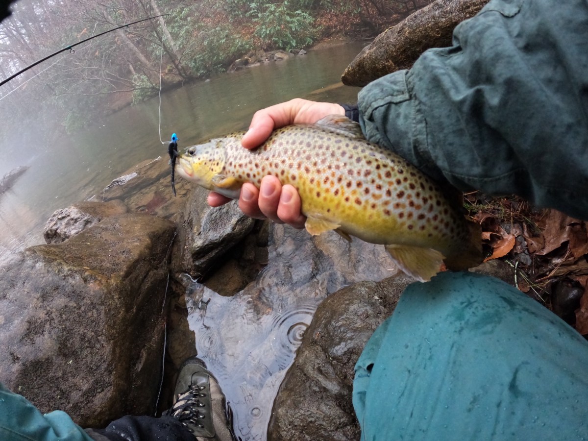 Drizzly Morning Creek&nbsp;Stop