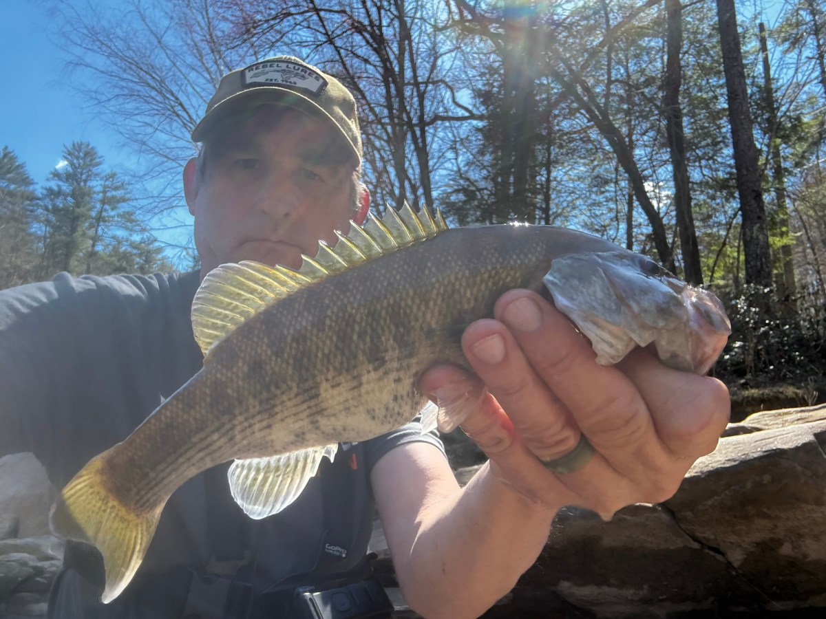 Start of 2026 Georgia Bass&nbsp;Slam