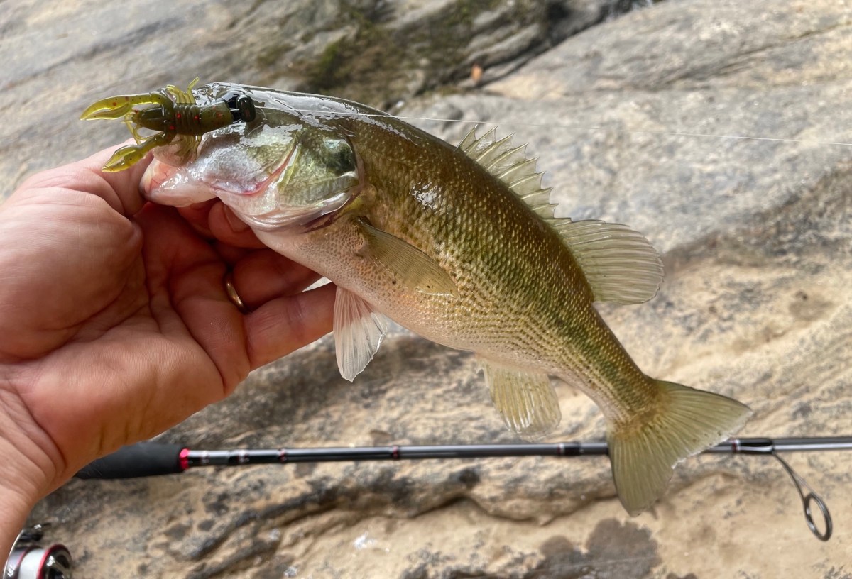 4 Advantages of Fishing From the&nbsp;Bank