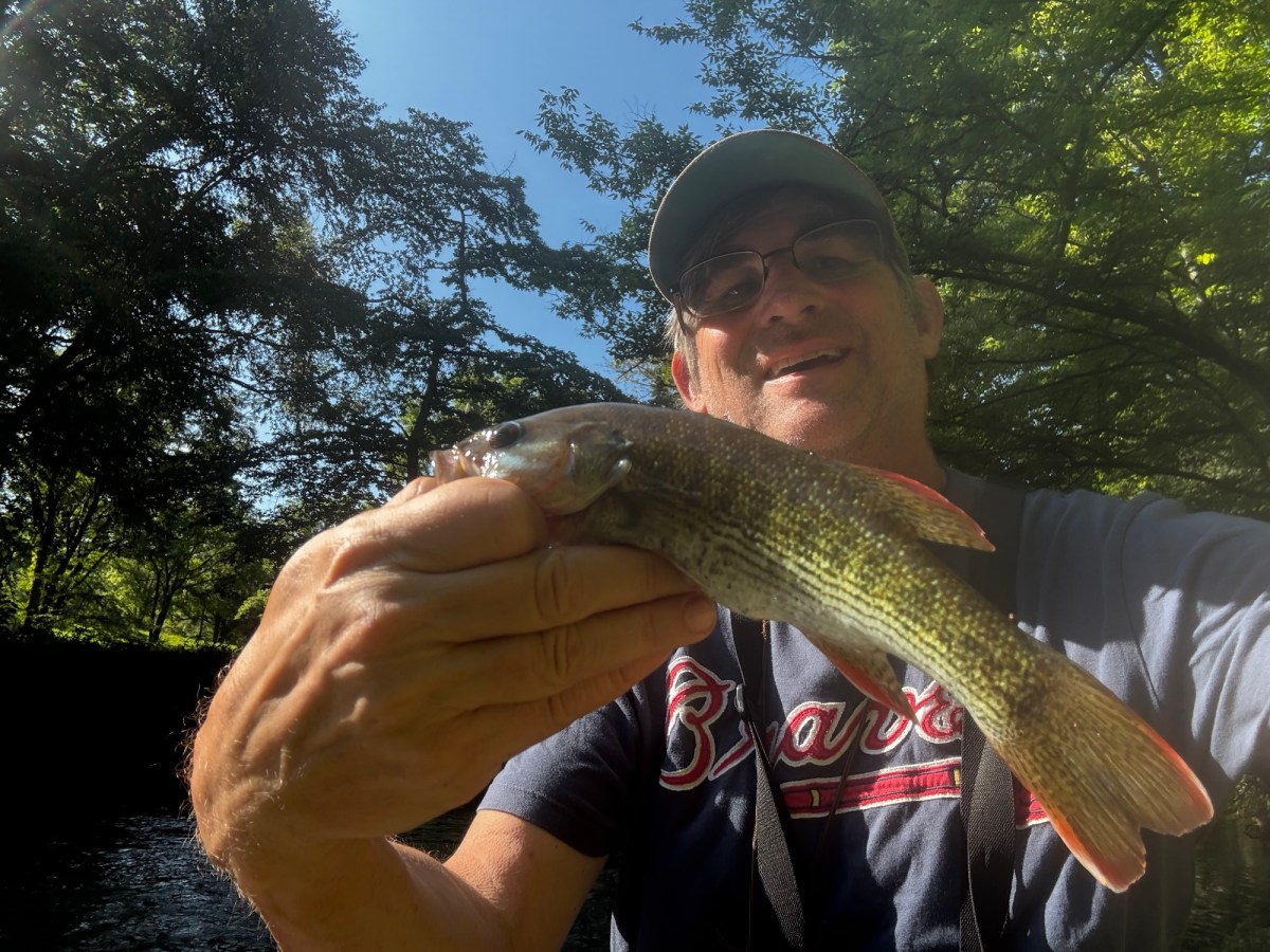 Chattahoochee Bass