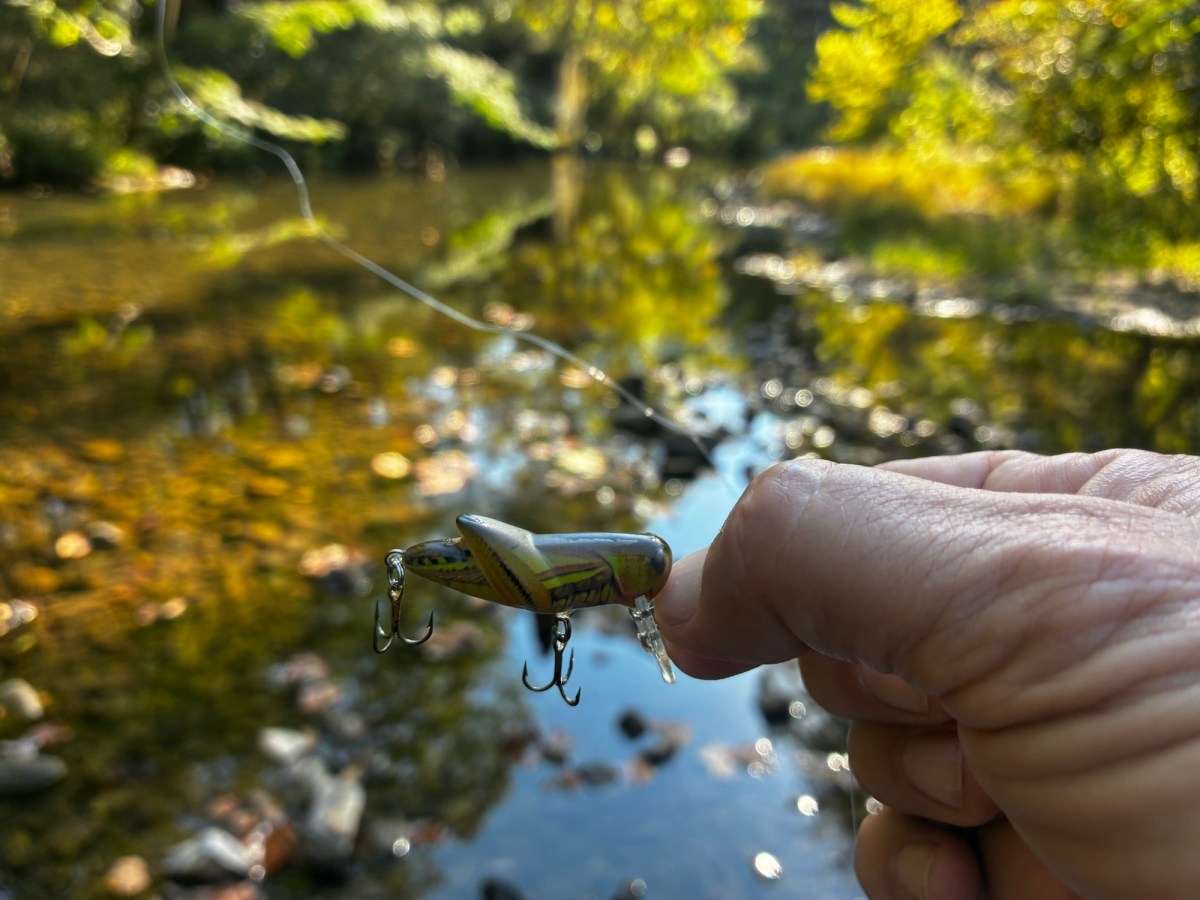 Single-Lure Fish Fest